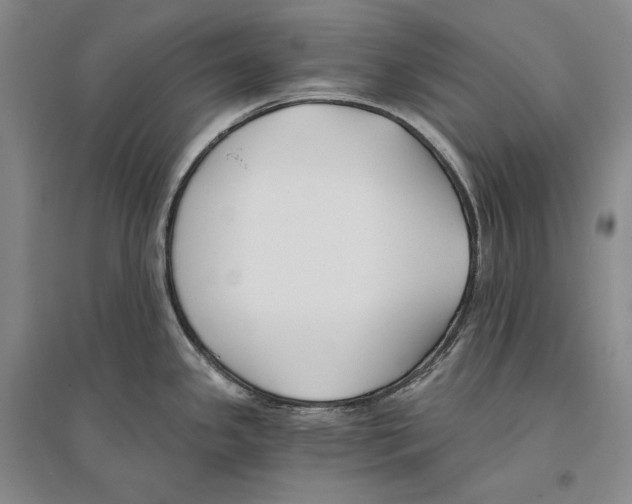 X0000096181341200802151433