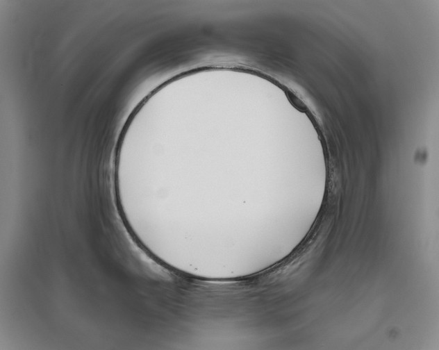 X0000096181343200802151433