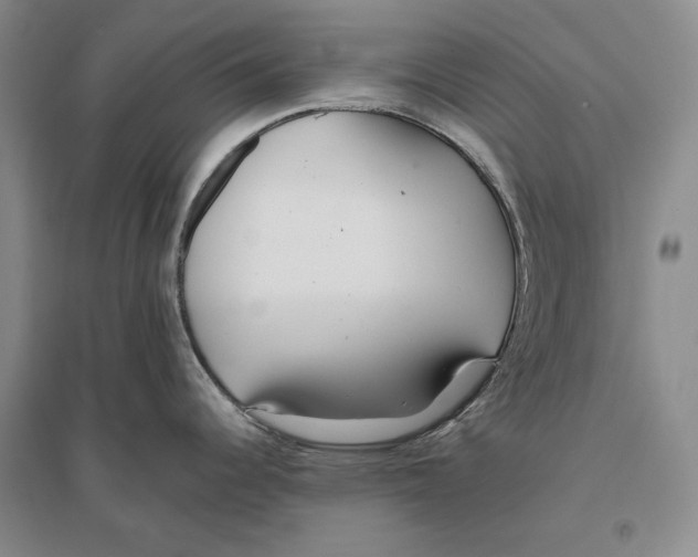 X0000096181344200802151433