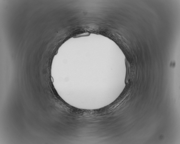 X0000096181345200802151432