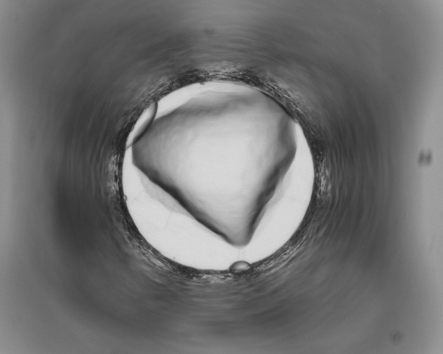 X0000096181346200802151432