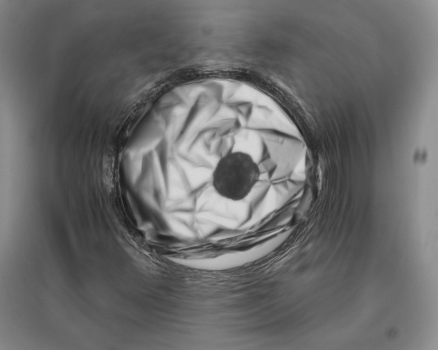 X0000096181348200802151432