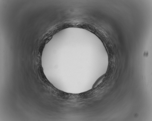 X0000096181349200802151432