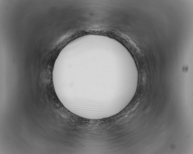 X0000096181350200802151432