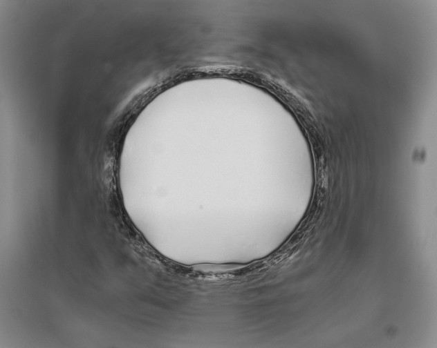 X0000096181351200802151432
