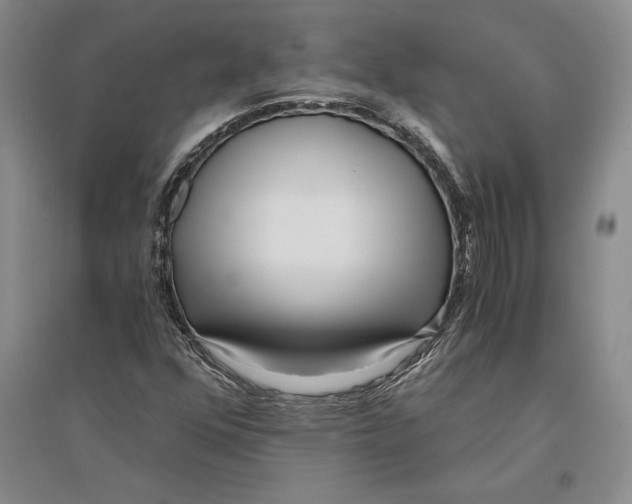 X0000096181352200802151432