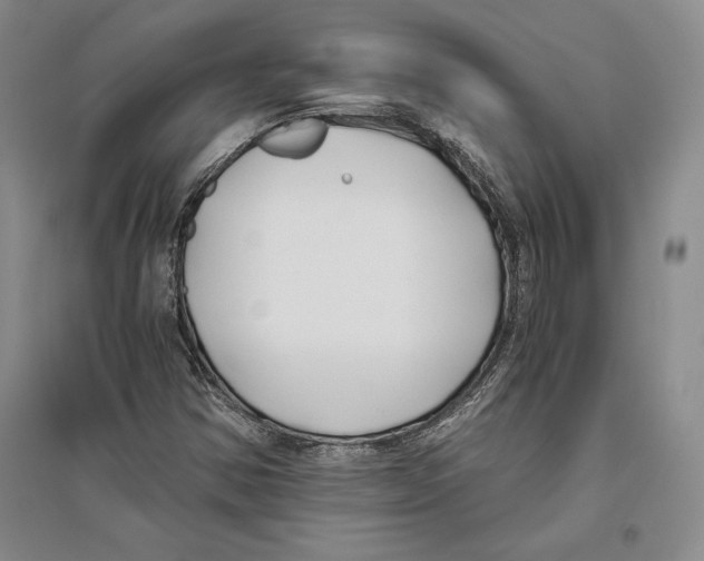 X0000096181354200802151432
