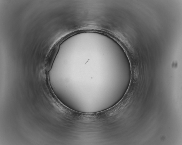 X0000096181356200802151432