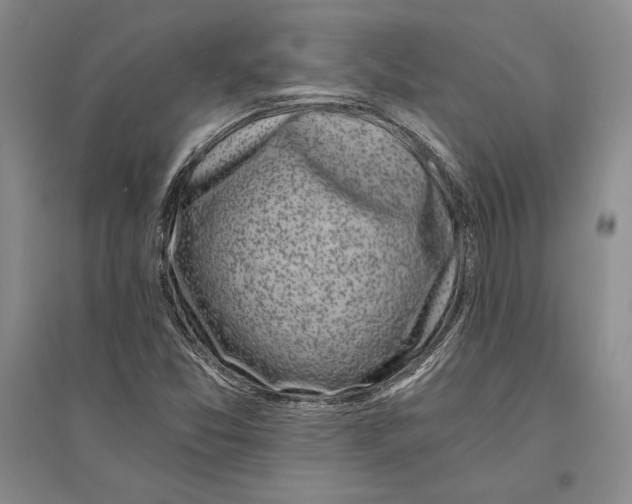 X0000096181357200802151432