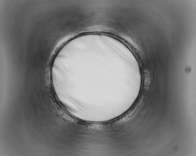 X0000096181358200802151432