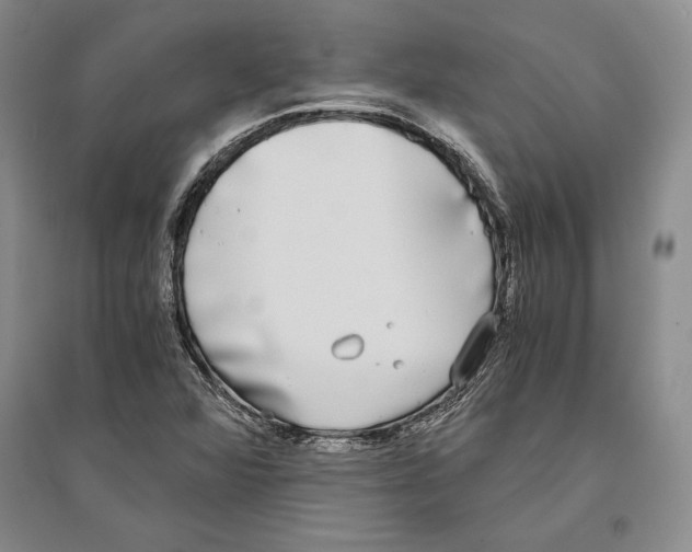 X0000096181360200802151432