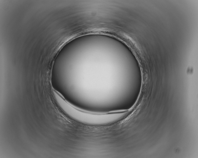 X0000096181361200802151432