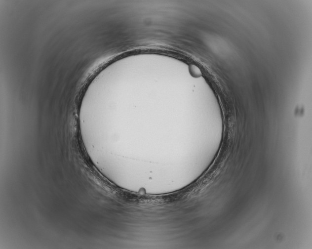 X0000096181363200802151432