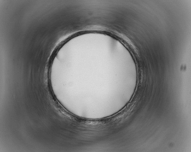 X0000096181364200802151432
