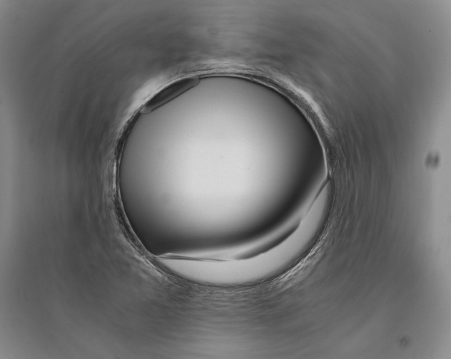 X0000096181365200802151432