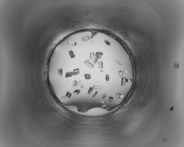 X0000096181367200802151432