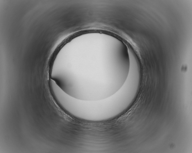 X0000096181368200802151432