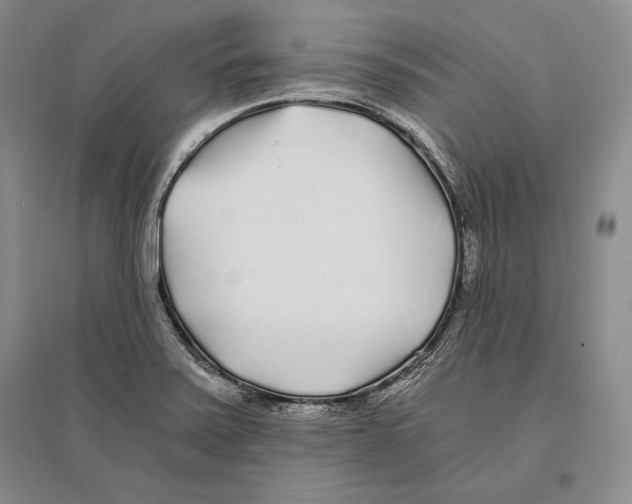 X0000096181371200802151431