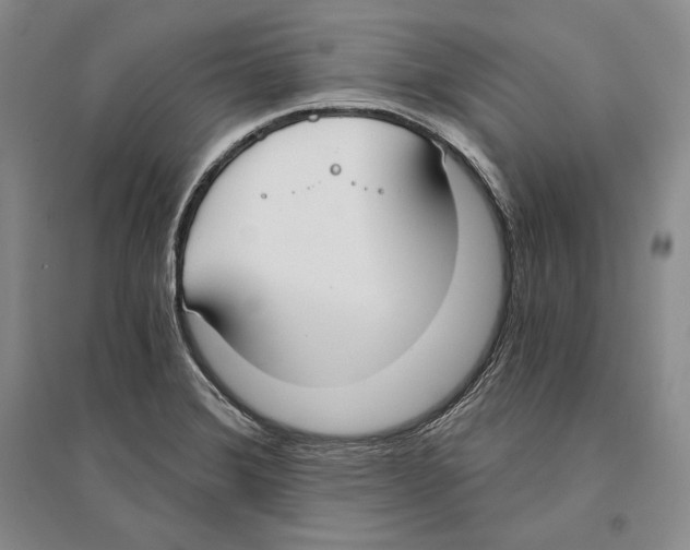 X0000096181372200802151431
