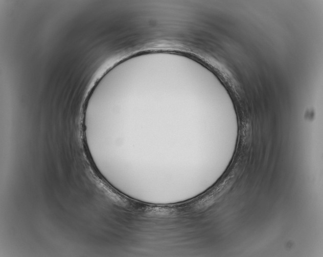 X0000096181374200802151431