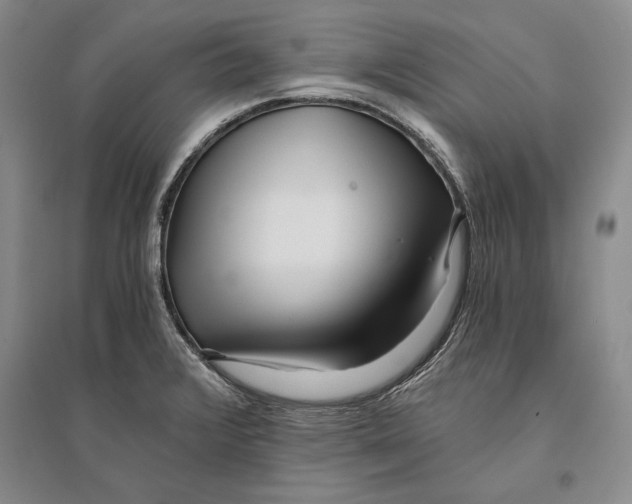 X0000096181376200802151431