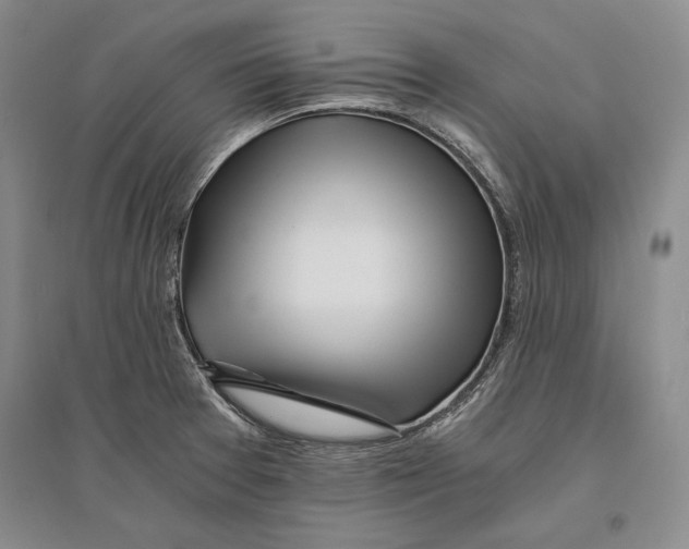 X0000096181377200802151431