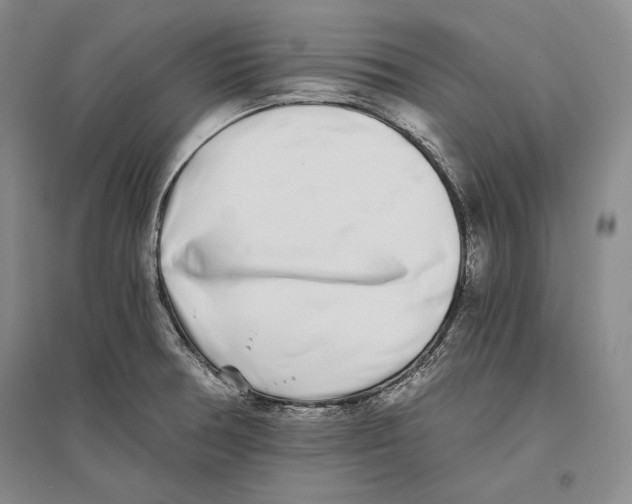 X0000096181378200802151431