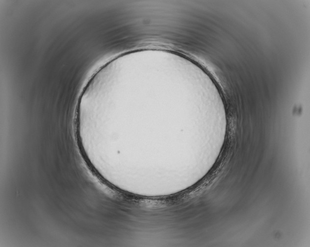 X0000096181379200802151431