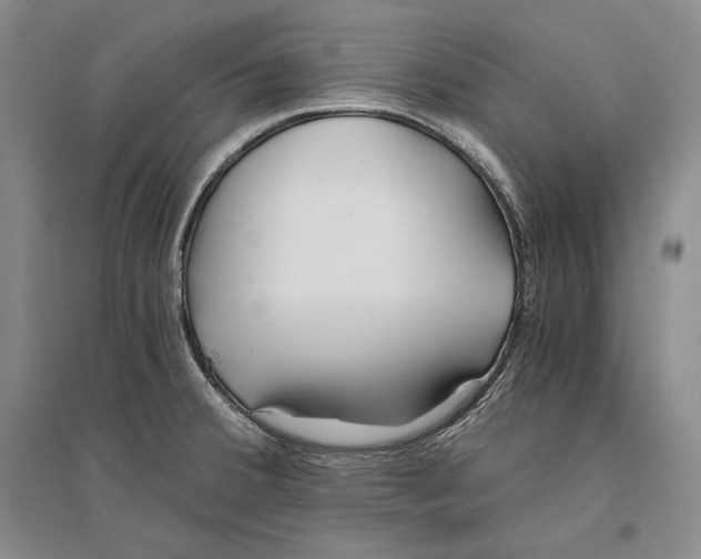 X0000096181380200802151431