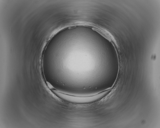 X0000096181381200802151431