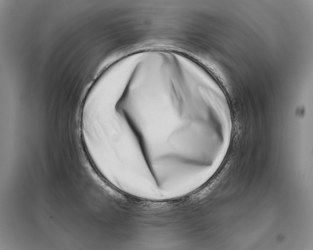 X0000096181382200802151431