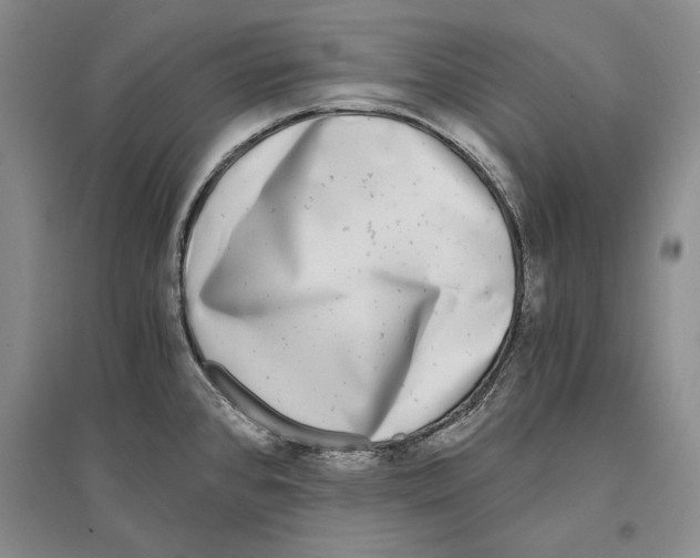 X0000096181384200802151431