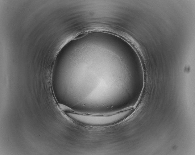 X0000096181385200802151431