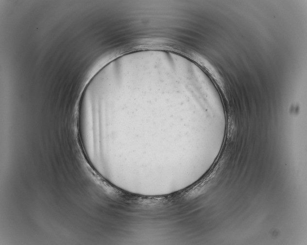 X0000096181386200802151431