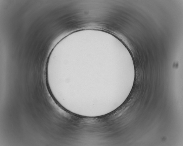 X0000096181387200802151431