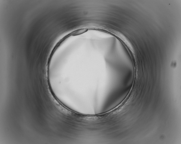 X0000096181388200802151431