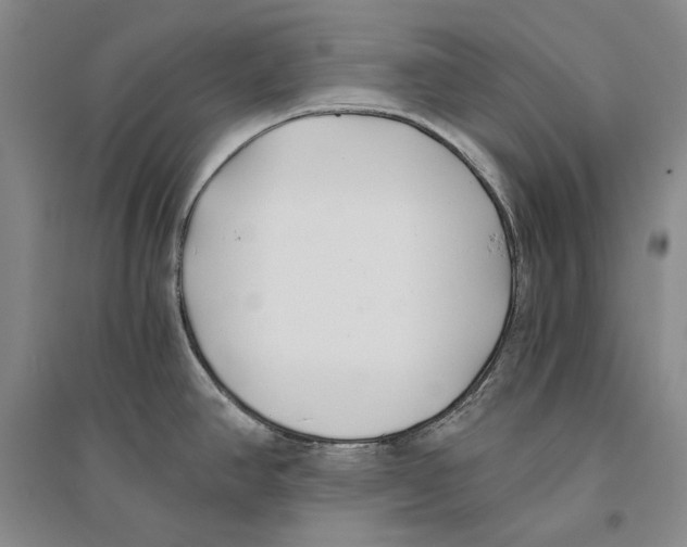 X0000096181390200802151431