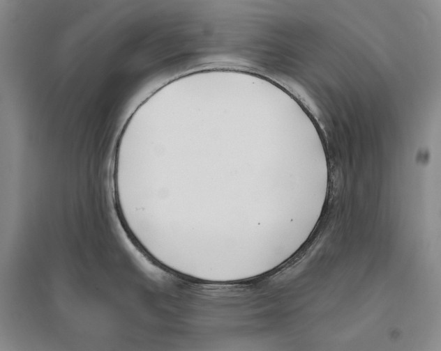 X0000096181391200802151431