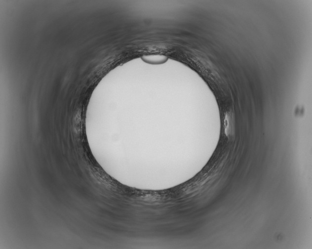 X0000096181395200802151430