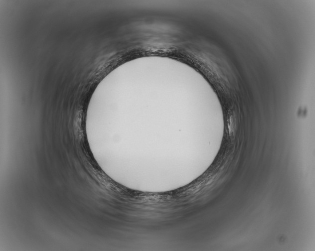 X0000096181396200802151430