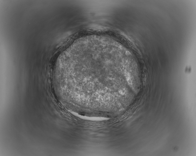 X0000096181397200802151430