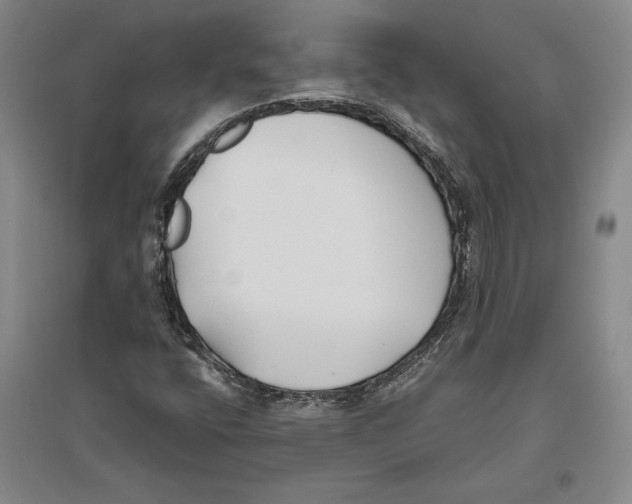 X0000096181400200802151430
