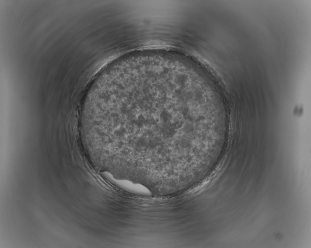 X0000096181401200802151430