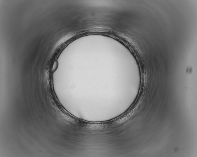 X0000096181402200802151431