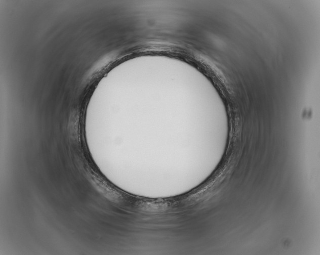 X0000096181403200802151431