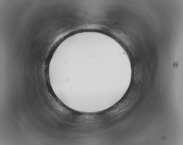 X0000096181404200802151431