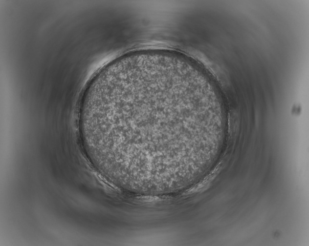 X0000096181405200802151431