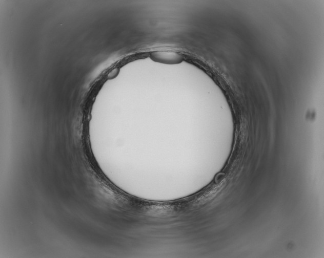 X0000096181406200802151431