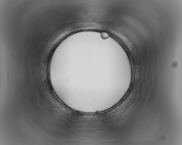 X0000096181407200802151431