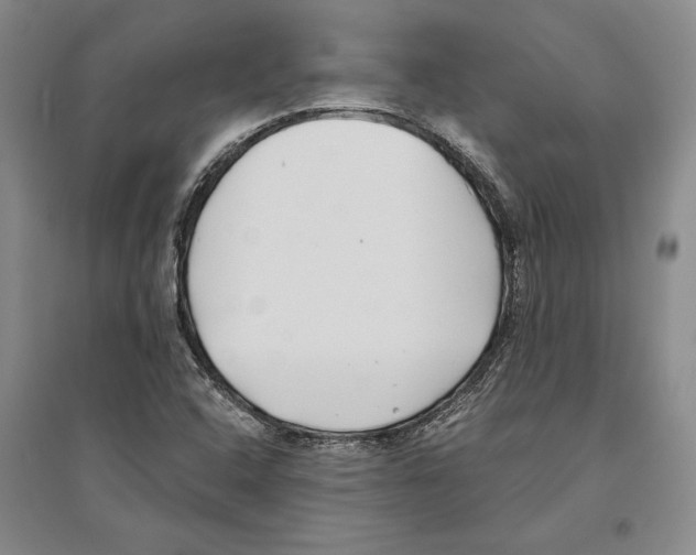 X0000096181408200802151431